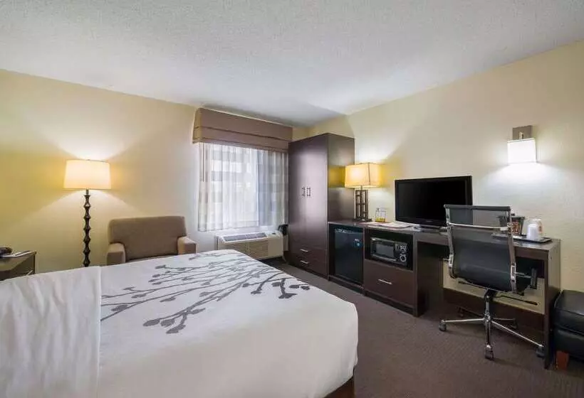 هتل Sleep Inn Statesville I 40