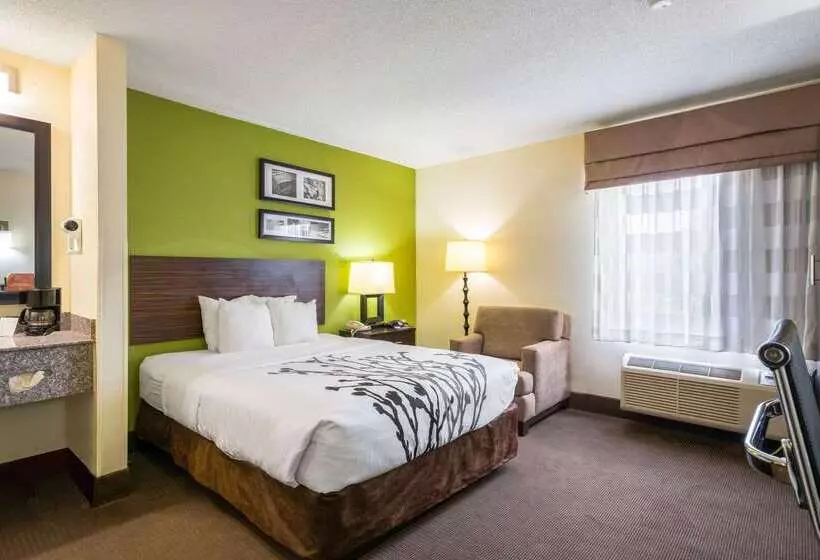 هتل Sleep Inn Statesville I 40