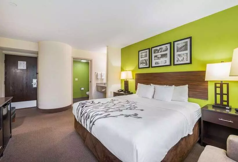 هتل Sleep Inn Statesville I 40