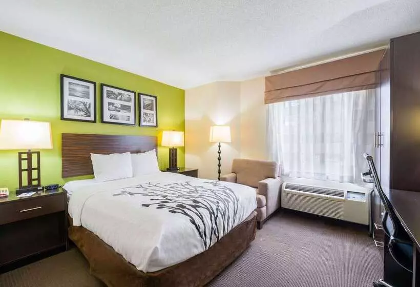 هتل Sleep Inn Statesville I 40