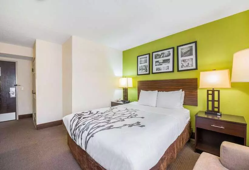 هتل Sleep Inn Statesville I 40