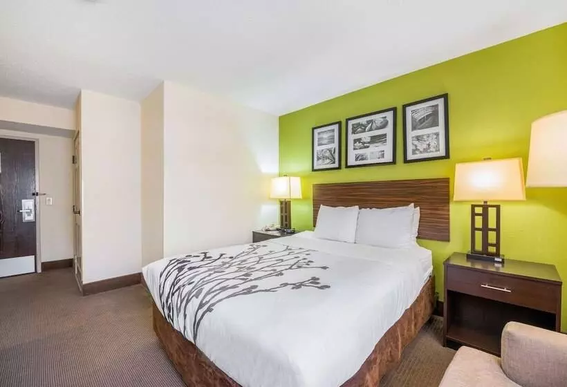 هتل Sleep Inn Statesville I 40