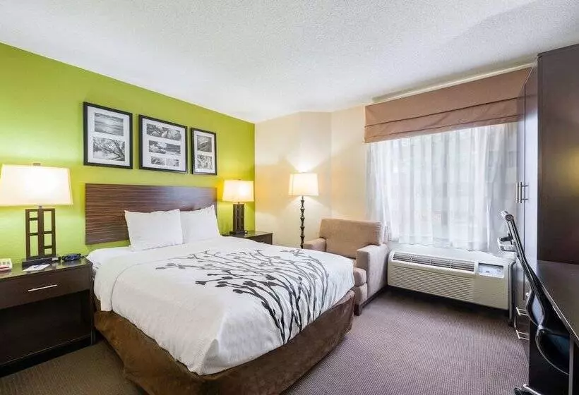 هتل Sleep Inn Statesville I 40