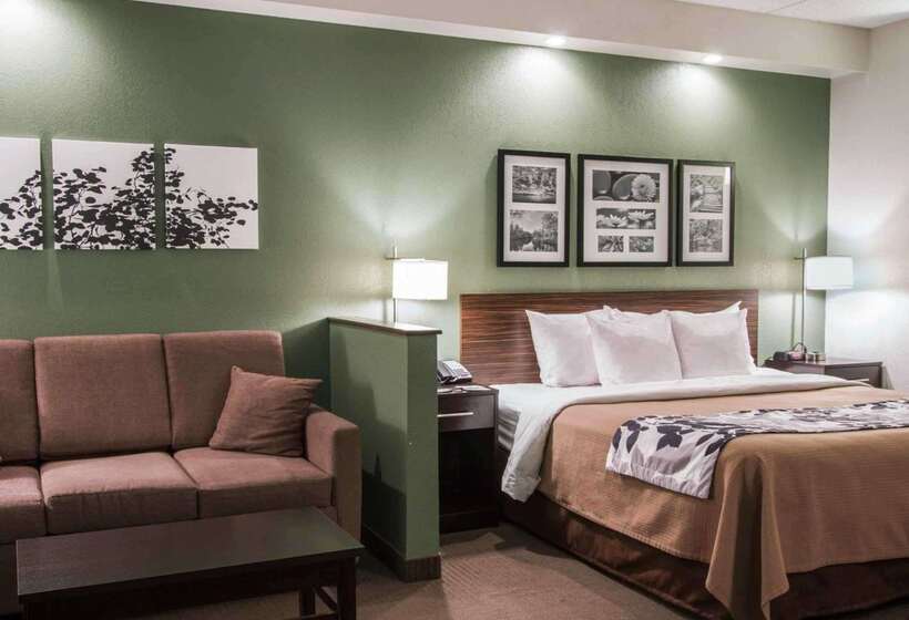 فندق Sleep Inn & Suites Buffalo Airport