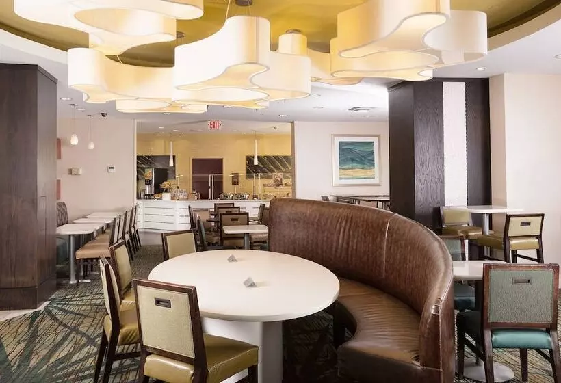 هتل Springhill Suites By Marriott Orlando Convention Center