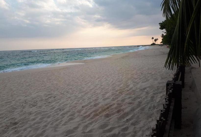 پانسیون Cactus Villa