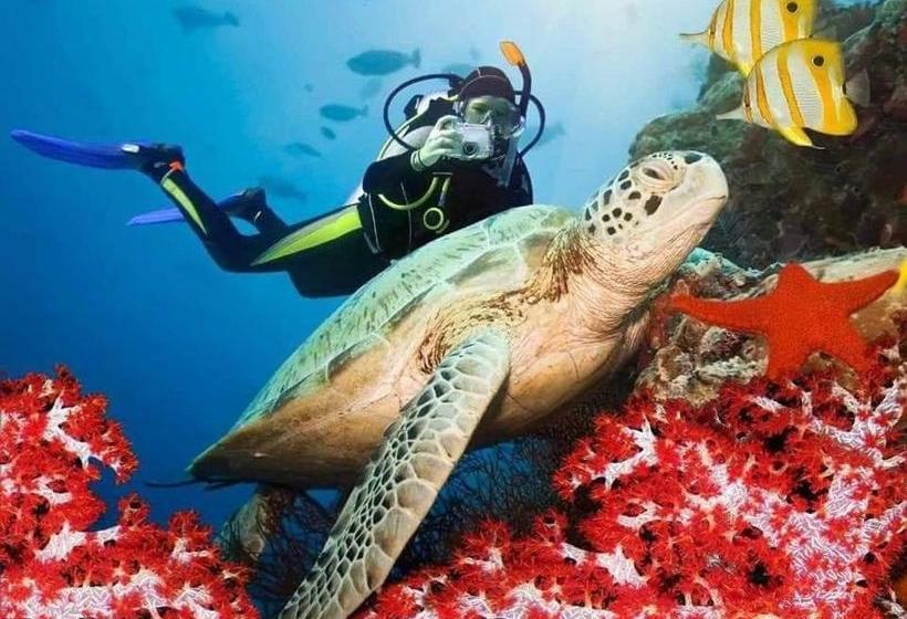 پانسیون Cactus Villa