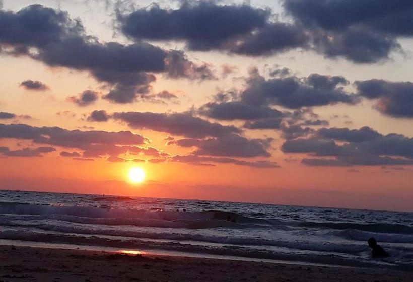 پانسیون Cactus Villa