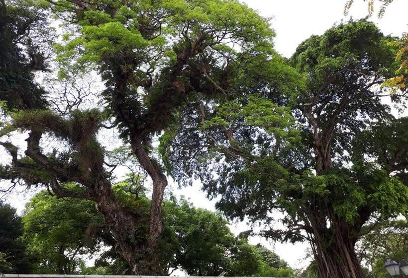 پانسیون Cactus Villa