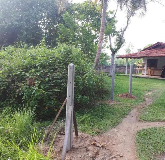 پانسیون Cactus Villa