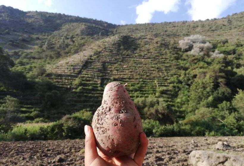 פנסיון Andean Riverside