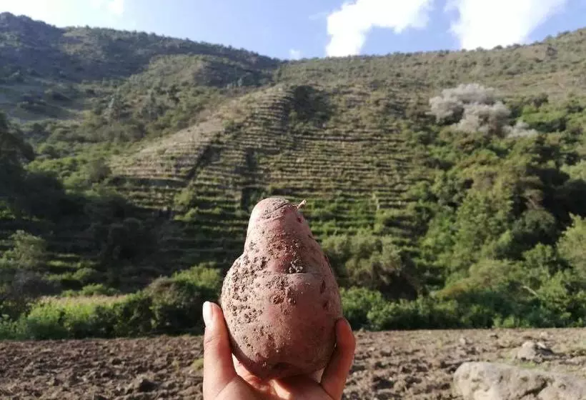 پانسیون Andean Riverside