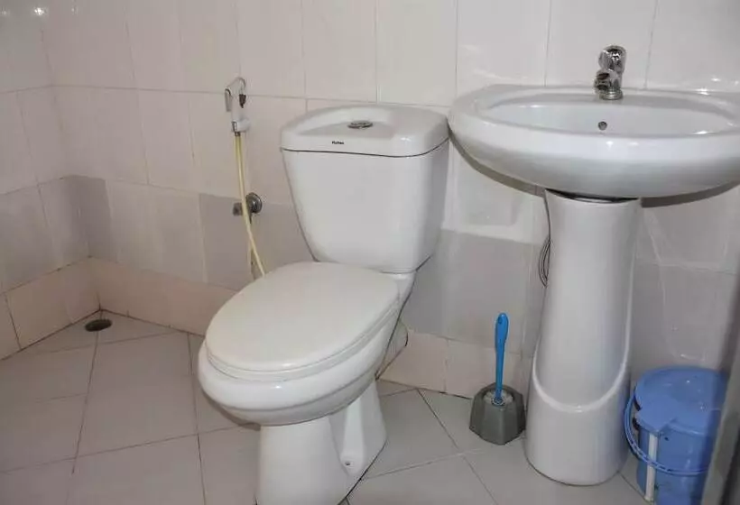 تختخواب و صبحانه Dar Eco Backpackers