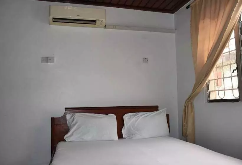 تختخواب و صبحانه Dar Eco Backpackers
