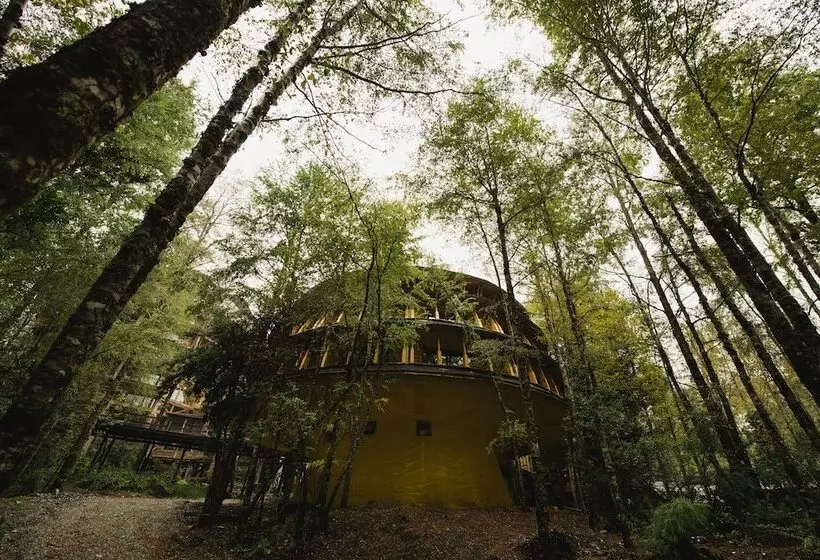 Hotelli Huilo Huilo Reino Fungi