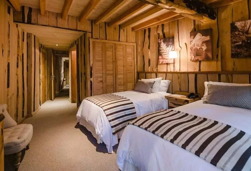 Hotelli Huilo Huilo Reino Fungi