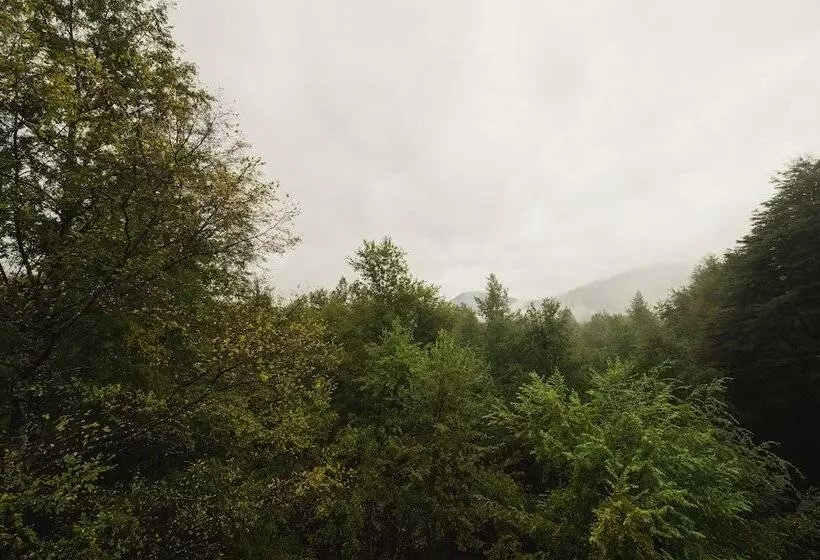 Hotelli Huilo Huilo Reino Fungi