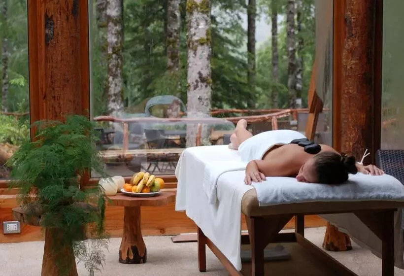 Hotelli Huilo Huilo Reino Fungi