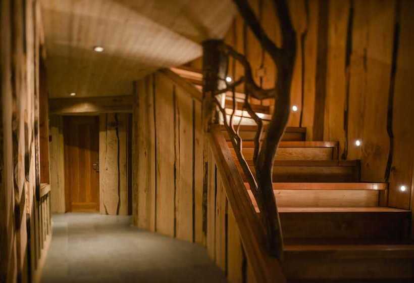 בית מלון כפרי Huilo Huilo Reino Fungi