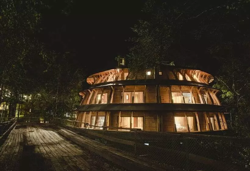 Hotelli Huilo Huilo Reino Fungi