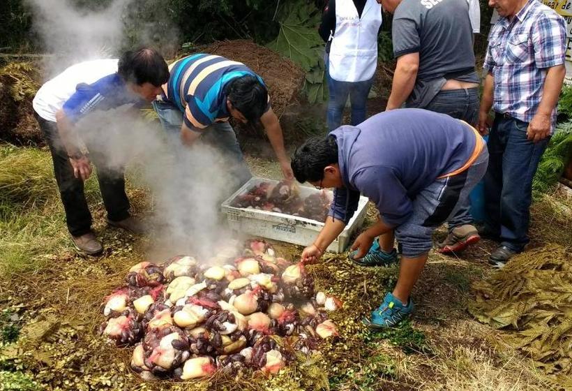 پانسیون Lukas Mary