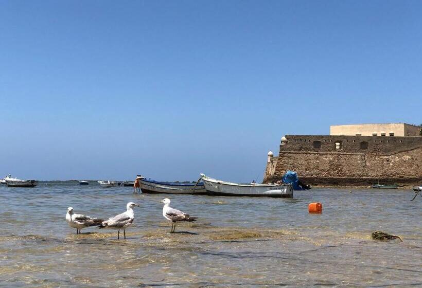 Planeta Cadiz Hostel