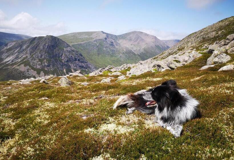 Bed and Breakfast Cranford Guest House