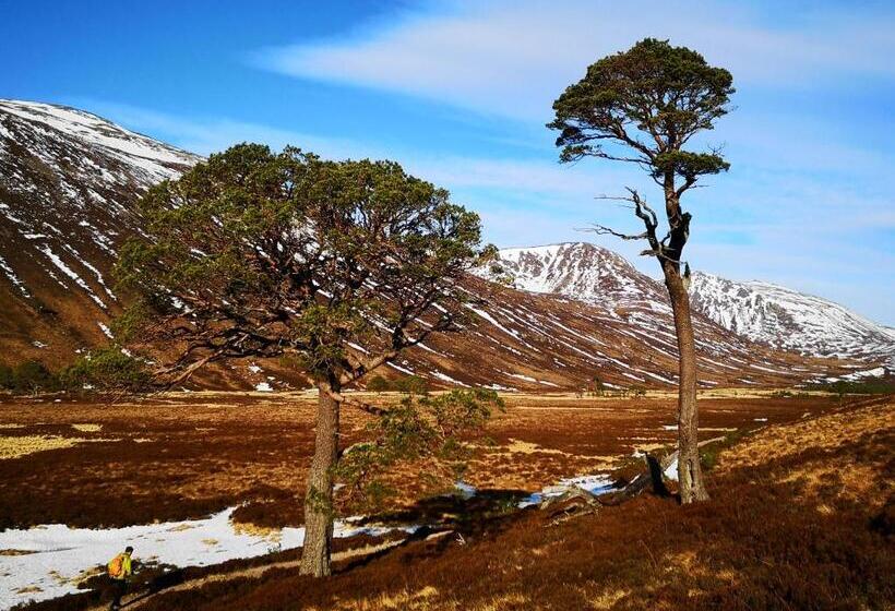 Bed and Breakfast Cranford Guest House