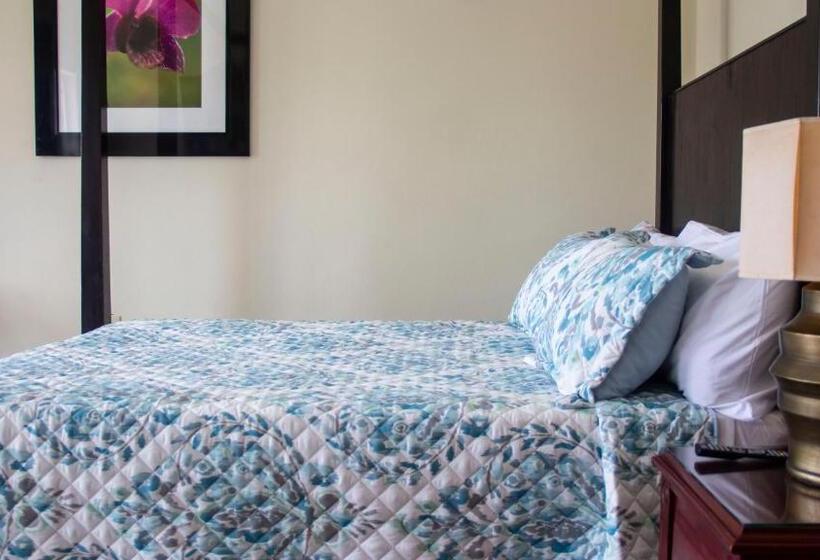 پانسیون Cuckoo's Place