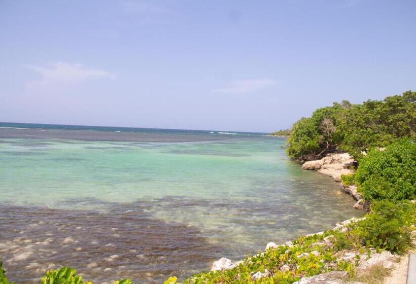 پانسیون Cuckoo's Place