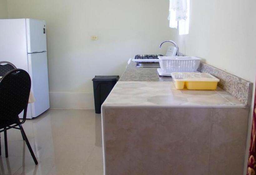 پانسیون Cuckoo's Place