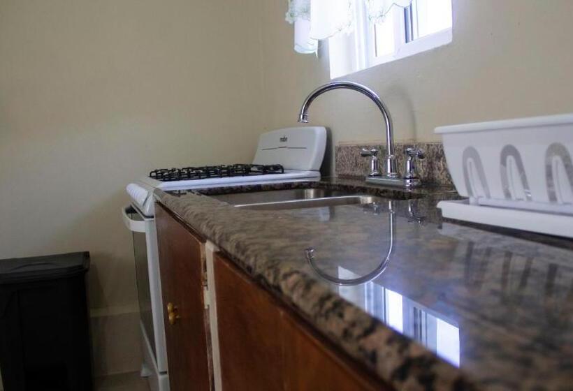 پانسیون Cuckoo's Place