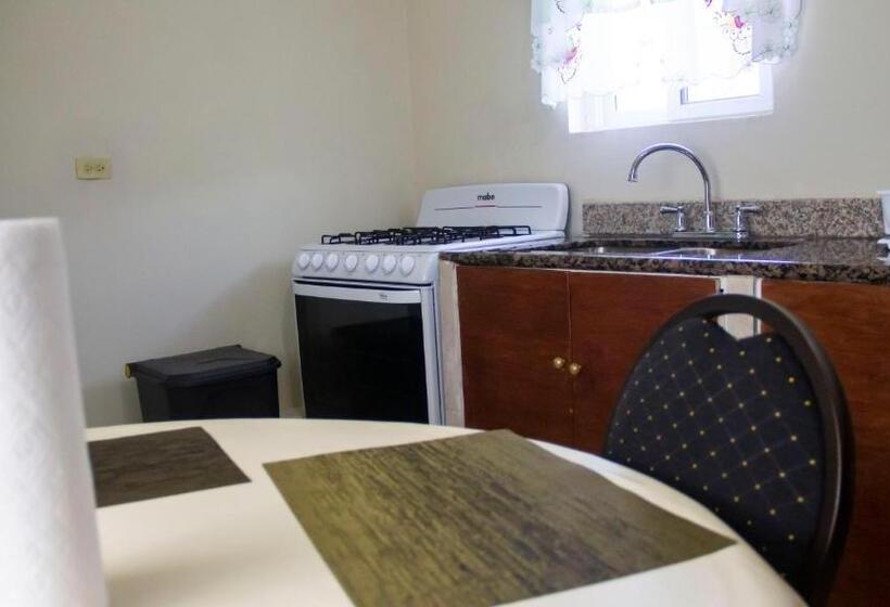 پانسیون Cuckoo's Place