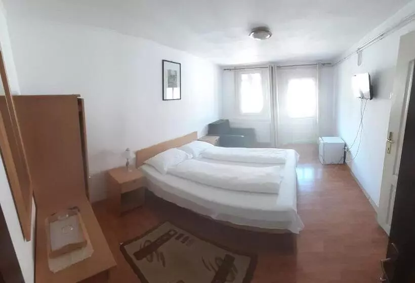 Hotel Vila Szoke Sovata