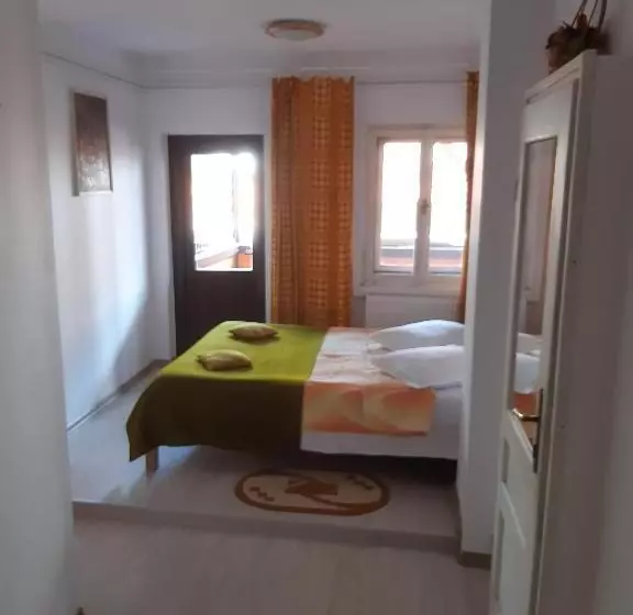 Hotel Vila Szoke Sovata