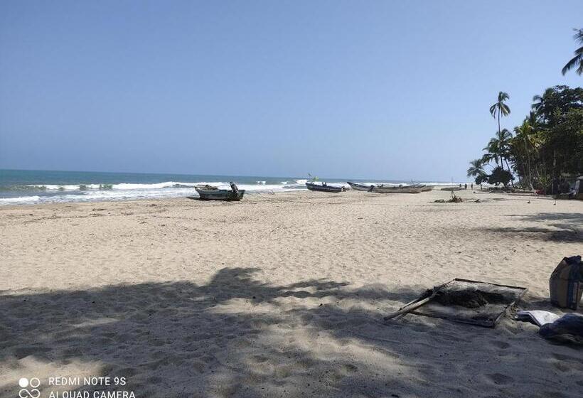 Panzió Hostal Estrellas Del Tayrona Playa Mendihuaca