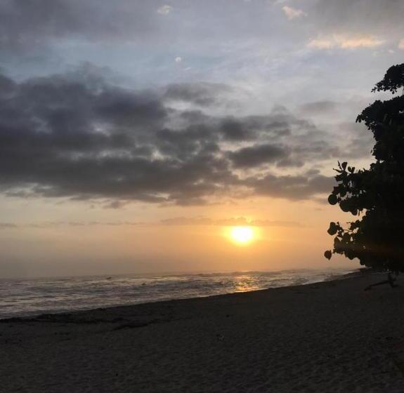 Panzió Hostal Estrellas Del Tayrona Playa Mendihuaca