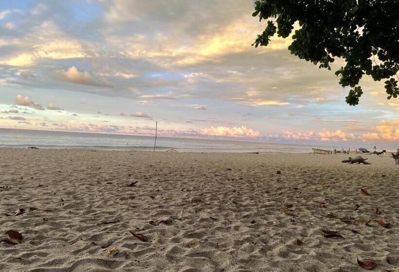 Panzió Hostal Estrellas Del Tayrona Playa Mendihuaca
