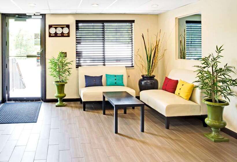 ホテル Super 8 By Wyndham Ogden