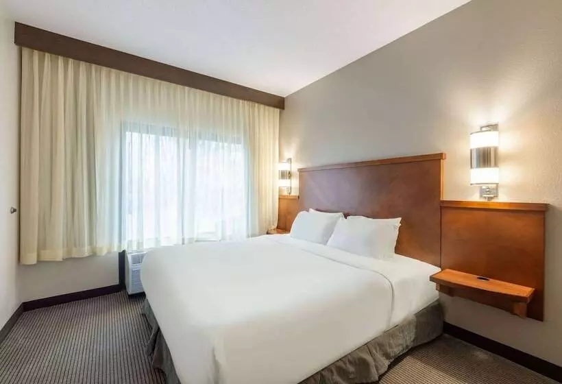 酒店 Wyndham Garden Kansas City Airport