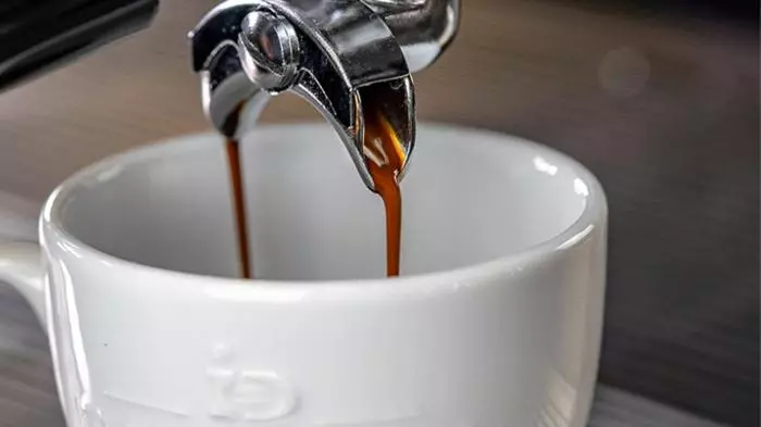 ペンション Cavalierhaus Branitz