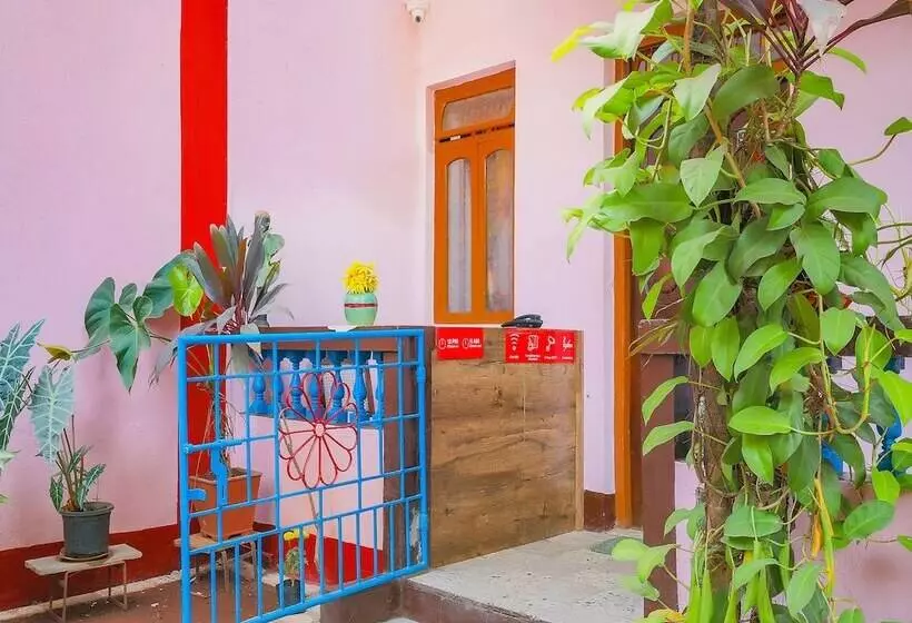 هتل Oyo 37494 Ma Micky Guest House