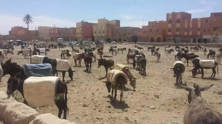 پانسیون Maison Bedouin Merzouga