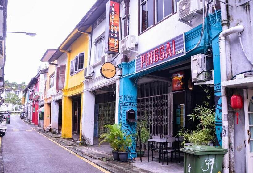 Hotel Spot On 89929 Tropical Lodge