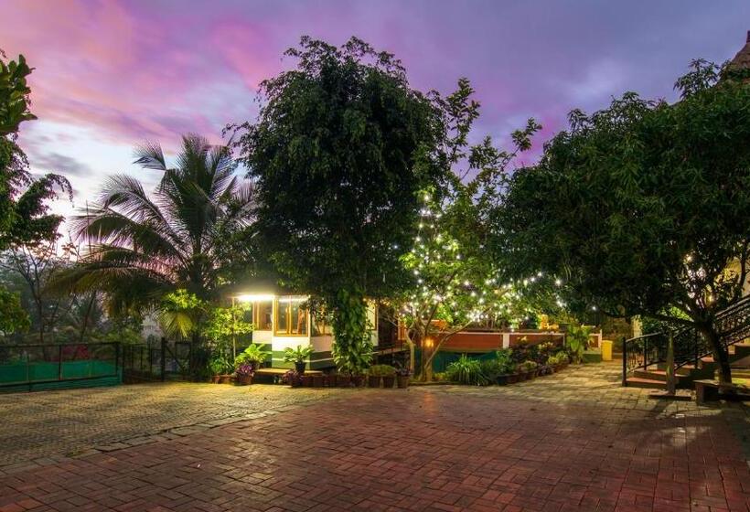 Olives The Boutique Resort