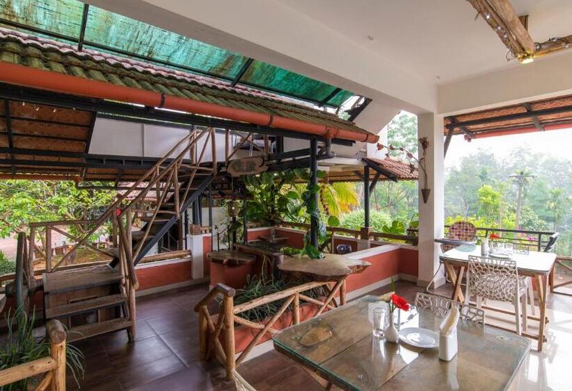 Olives The Boutique Resort