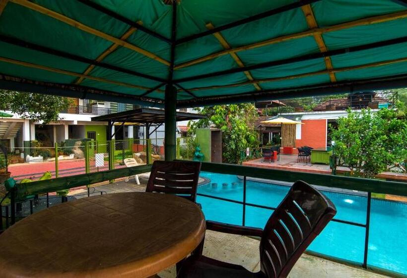 Olives The Boutique Resort