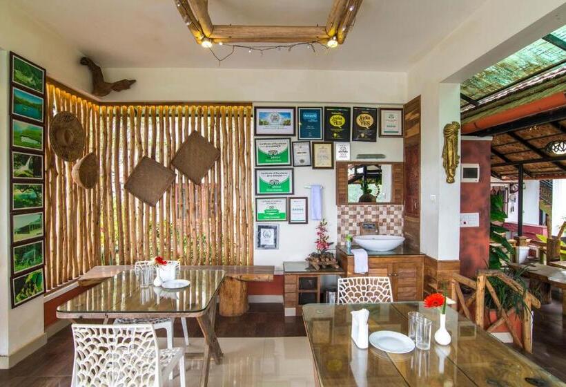 Olives The Boutique Resort