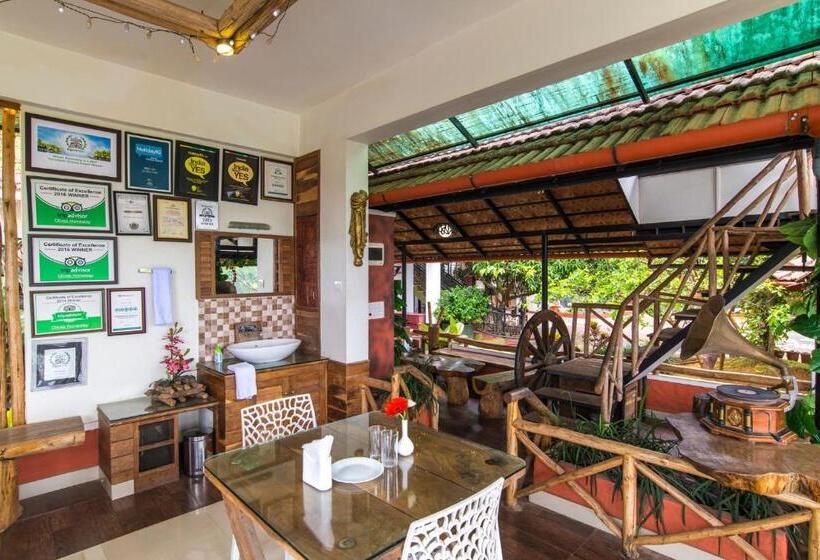 Olives The Boutique Resort