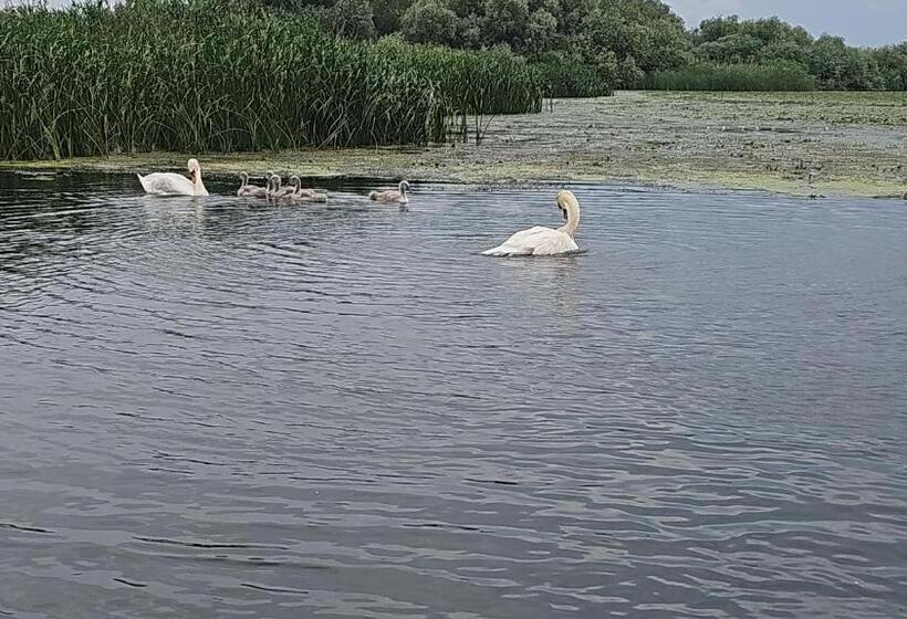 Пансион Casa Boby